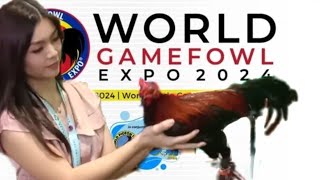 WORLD GAMEFOWL EXPO 2024 [upl. by Haikan]