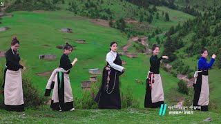 New Tibetan Dance Song 2022 By Tsering Dolkar གསེར་ལོ་ཡག Serlo Yak [upl. by Anillehs]