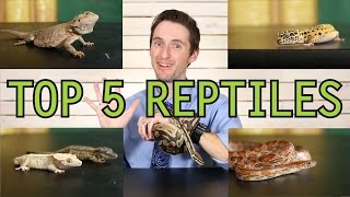 Top 5 Reptiles For Beginners [upl. by Okeim94]