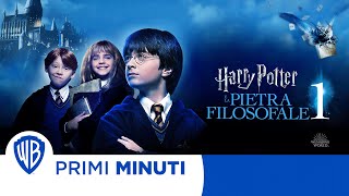 Harry Potter e la Pietra Filosofale  I Primi minuti [upl. by Ameluz394]