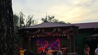 LIVE FROM ANIMAL KINGDOM [upl. by Malkah]