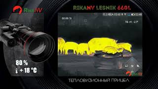 RIkaNV Lesnik 660L кабаны на разной оптической кратности [upl. by Rebba]