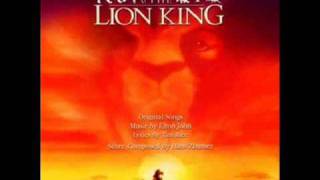 Circle Of Life Lion King wLyrics [upl. by Suu]