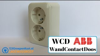 ABB WandContactdoos WCD  Dubbele Opbouw contactdoos  Bush Jaeger Stopcontact  123GroepenKastnl [upl. by Zara]