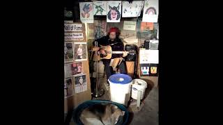 quot Mouldy Old Dough quot harmonica guitar footdrums onemanband shortsvideos [upl. by Ynafetse]