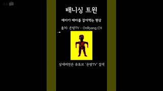 태아를 잡아먹는 엄마 배니싱트윈 딥웹 공포게임 [upl. by Sihun]