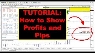 TUTORIAL iMarketsLive IML Forex Training  How to Show Profits and Pips [upl. by Sadowski]