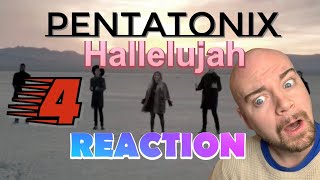 PENTATONIX  Hallelujah A capella  REACTION [upl. by Spain]