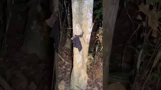 Paranormal Live  Part 35 Arasz Hunting  Banglo Puaka Raub Pahang v2  S02E03 [upl. by Brittan176]