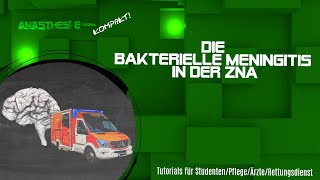 Die bakterielle Meningitis in ZNA und Rettungsdienst [upl. by Iglesias]