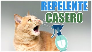 Como hacer repelente casero para Gatos [upl. by Lauritz]