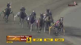 2014 Race Of The Year  Standardbred Canada Video Feature [upl. by Eselahc]