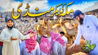 Makkah ki bakra Mandi hajj season 2024  Latest hajj 2024 updates [upl. by Aisile]