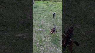 Drone vs horse race Arang Kel Kashmir djimini4pro racehorse mountains [upl. by Zeni]