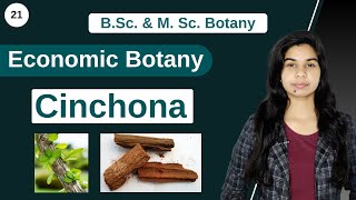 Economic Botany  Medicinal Plants  Cinchona  B Sc amp M Sc [upl. by Lahcar]