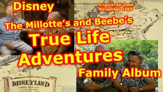 Disney Family Album  True Life Adventures  The Milottes  The BeeBes  Lloyd Beebe  Seal Island [upl. by Otreblon790]