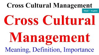 Cross Cultural Management in hindi international business cross cultural management mba [upl. by Guglielmo]