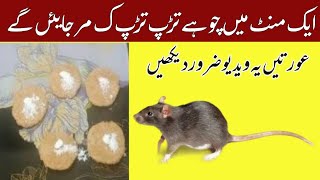 Urgent rat killer rat killer rat killer home remedies  best rat killer  tips top hacks [upl. by Ikram]