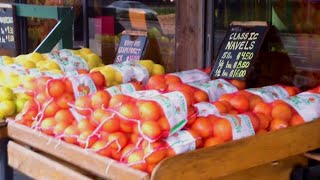 Historic Maitland citrus stand announces closure [upl. by Anawal398]