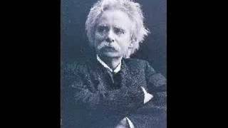 Edvard Grieg  Anitras Dance Peer Gynt Suite No 1 [upl. by Arednaxela897]