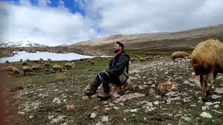 DOLANIYOM DOLANIYOM YAVRUM SENİ BULAMIYOM  Suna nın AĞIDI TARIK KARA [upl. by Iddet]