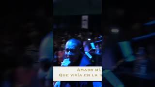 Amado Mío en vivo desde México Short [upl. by Toogood56]