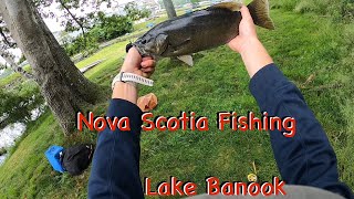 Multi species fishing in Dartmouth Nova Scotia [upl. by Rhianna]