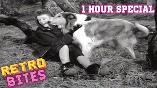 Lassie  1 Hour Special  Lassie English Full Episodes 🐕 [upl. by Recnal800]