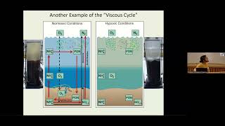 Low Oxygen Environments in Marine and Coastal Waters The 53rd Ocean Liedge Colloq 3rd GO2NE Confere [upl. by Robins]