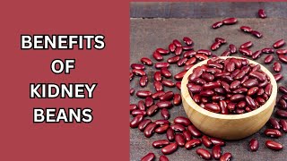 Discover Why Kidney Beans Are Essential [upl. by Marj]