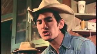 Townes Van Zandt  3 canciones subtituladas al español [upl. by Glynas]