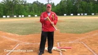 How to Size a CamWood Bats Trainer [upl. by Belita539]