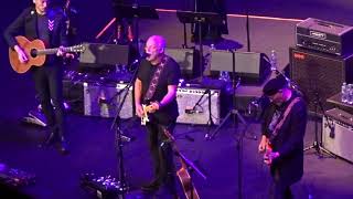 David Gilmour amp Richard Thompson  Dimming of the Day  Royal Albert Hall 2019 [upl. by Ahsia]