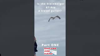 Is The Steinberger Spirit GT Pro A Travel Guitar Part 1 short holiday vacation travel family [upl. by Nabroc674]