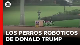 Perros robóticos vigilan la casa de Donald Trump en Florida [upl. by Fredenburg640]