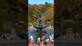 Central Park fall foliage colors Shorts [upl. by Burkley]