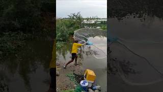 Awesome video fishingnet in the lake fishing traditional techniquethrownetfishing fishingtechnique [upl. by Samal]