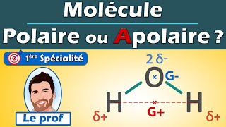 POLAIRE ou APOLAIRE  💡 méthodologie  molécule deau H20  1ère spé  Physique Chimie  Lycée [upl. by Fanchet]