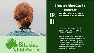 Bitesize Irish Podcast Ep 01 [upl. by Ennalorac]