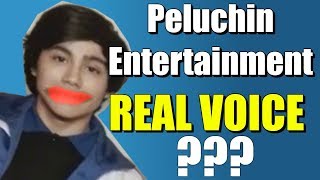 Peluchin Entertainments Real Voice [upl. by Annasor]