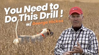 Training a Bird Dog  Restrained Chase Drill for Pointing Dogs by George Hickox [upl. by Asp759]