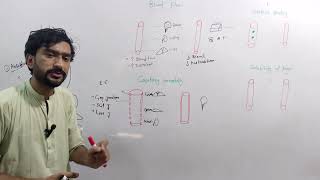 Drugs distribution pharmacokinetics lec 2 Medexplora zawaryousafzai [upl. by Anigger]