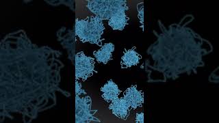 Chromosomes keep DNA organized and tidy genes cell histones mitosis science animation [upl. by Lilaj]