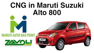 CNG In Maruti Suzuki Alto 800  ZAVOLI CNG kit installation in Alto 800  Maruti Auto Gas Point [upl. by Piscatelli342]