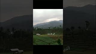 Surah AlMulk shorts almulk youtubeshorts quran islam islamic music ngaji shortvideo [upl. by Eidolem]