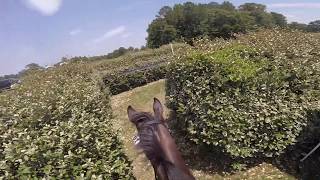 Helmet Cam Play Big Beginner Novice  2019 USEA Area III Championships [upl. by Neitsirk]