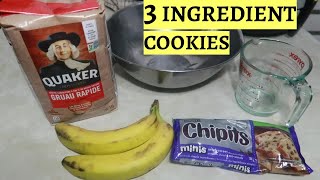 BANANA OATMEAL BREAKFAST COOKIES  3 INGREDIENTS  VLOGMAS DAY 16 [upl. by Cyrus102]