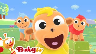 Bäh schwarzes Schäfchen  Lieder amp Rhythmen  BabyTV Deutsch [upl. by Anaele268]