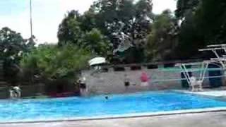 Double Back Flip off 1M diving board [upl. by Ettenajna445]