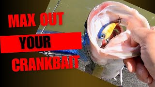 Quick Tune Up For Your Cranks bassfishing crankbaits [upl. by Tomasine577]